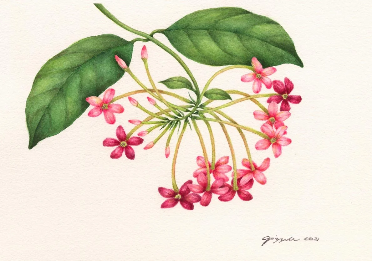 Niyog-niyogan, 2021 Watercolor on paper, 7”x10”