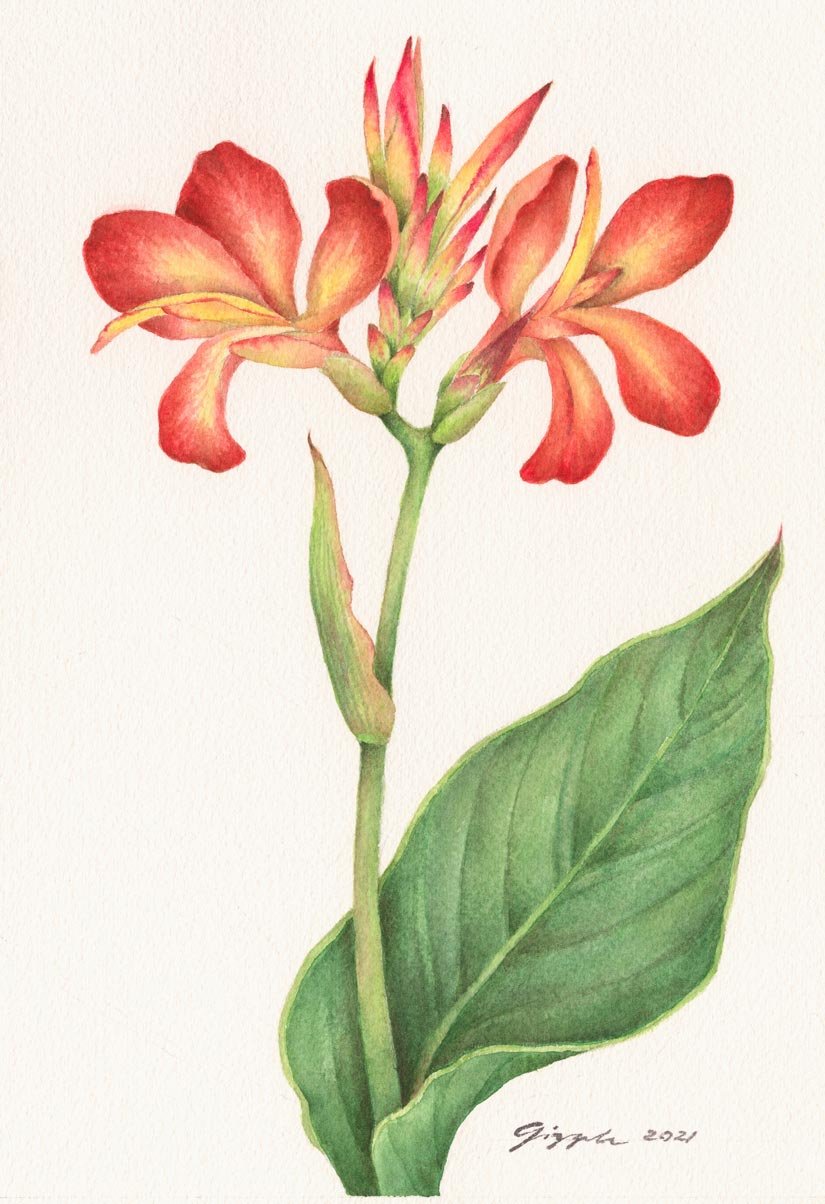 Bandera Española, 2021
Watercolor on paper, 7”x10”