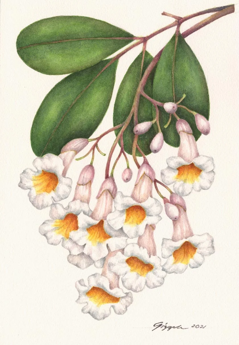 Banay-banay, 2021 Watercolor on paper, 7”x10”