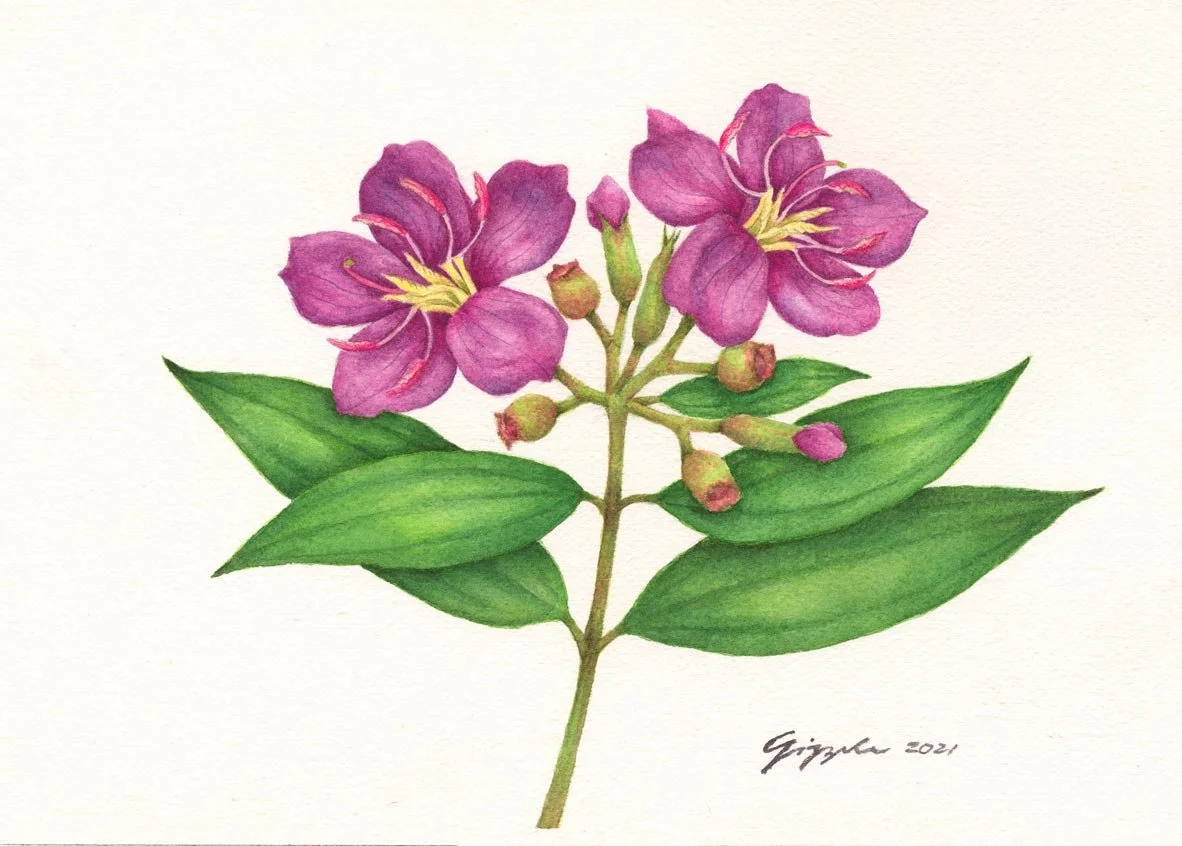 Malatungaw, 2021 Watercolor on paper, 7”x10”