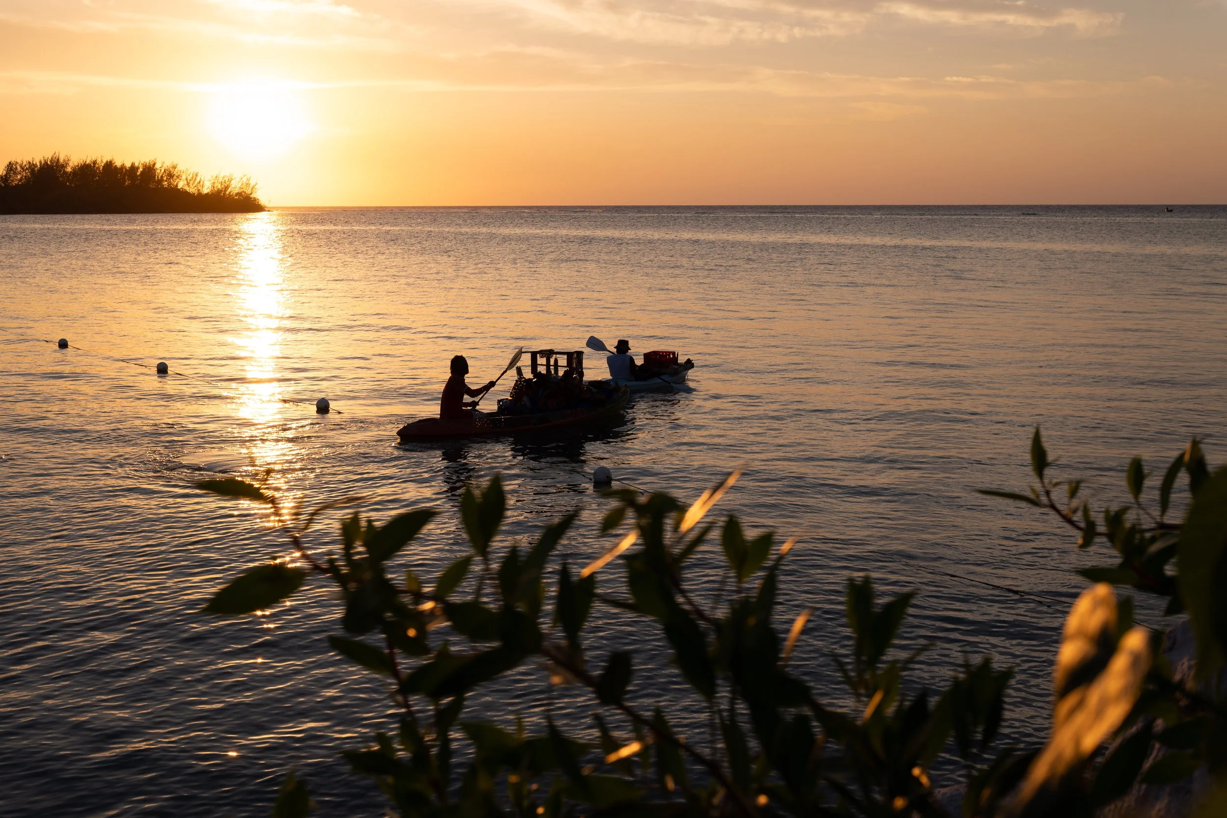 Two people paddling on a calm sea in tandem kayaks at sunset, with a golden sky and silhouetted foliage in the foreground.