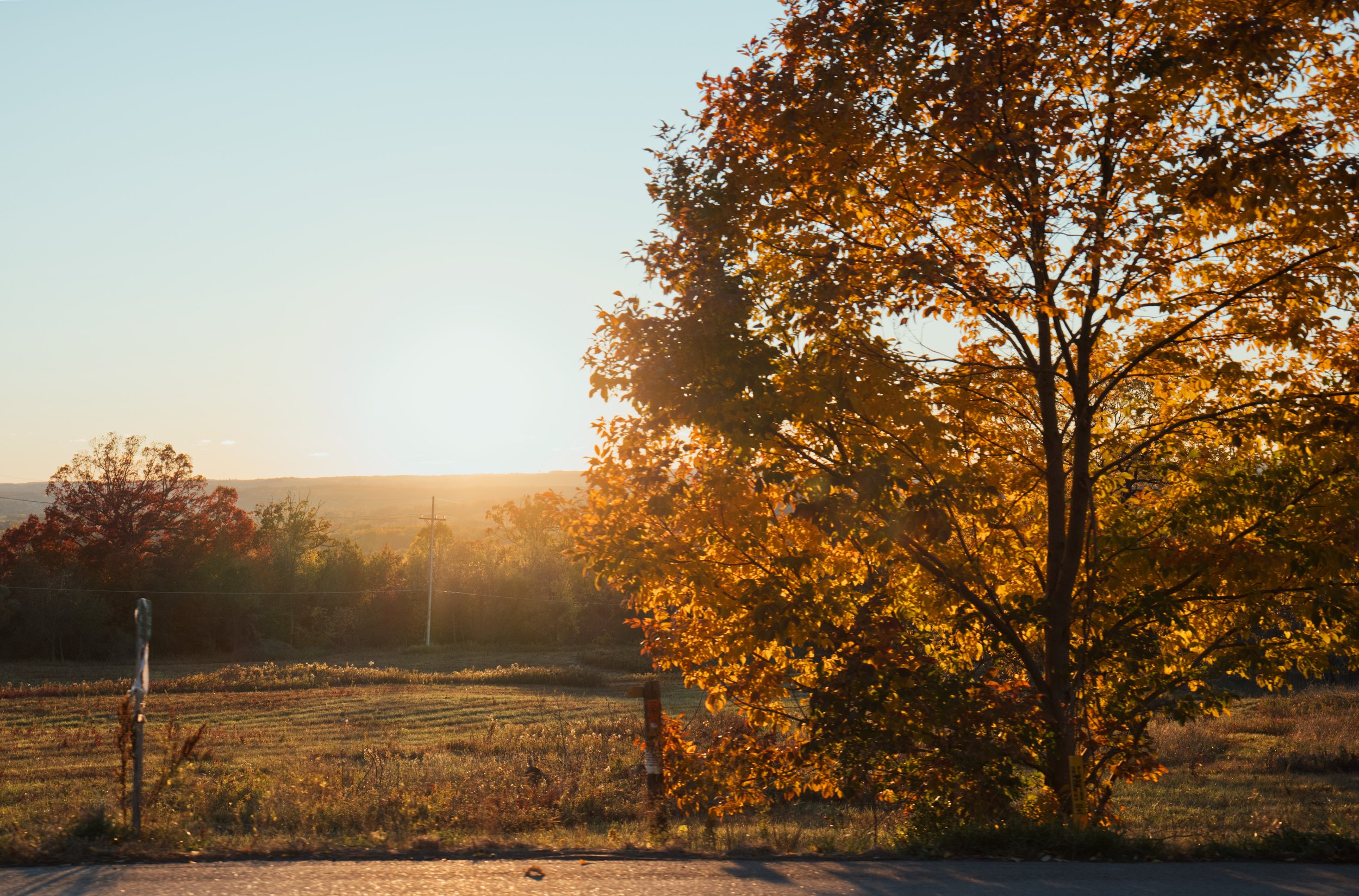 Sun setting over a rural landscape with a tree in autumn foliage in the foreground.