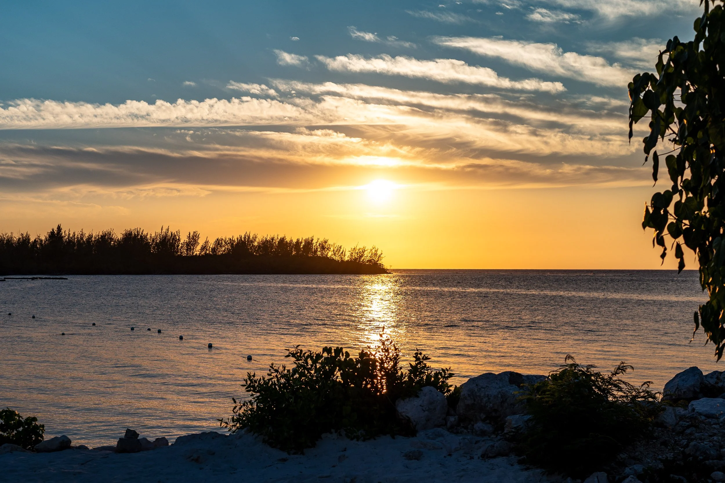 Sunset over a calm sea with silhouette of distant trees and plants on shoreline, sun casting reflection on water, scenic view, soft clouds in the sky.