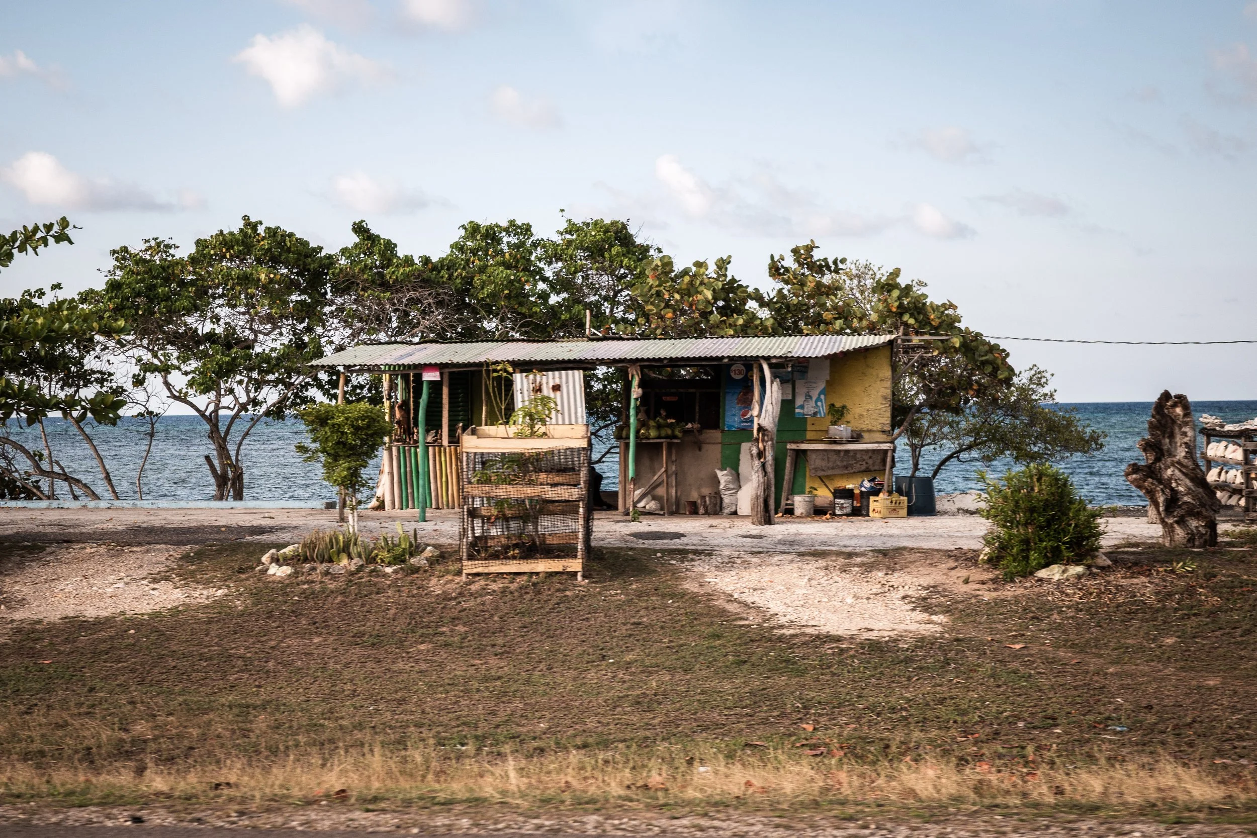 Rural beachside shack with trees and ocean view