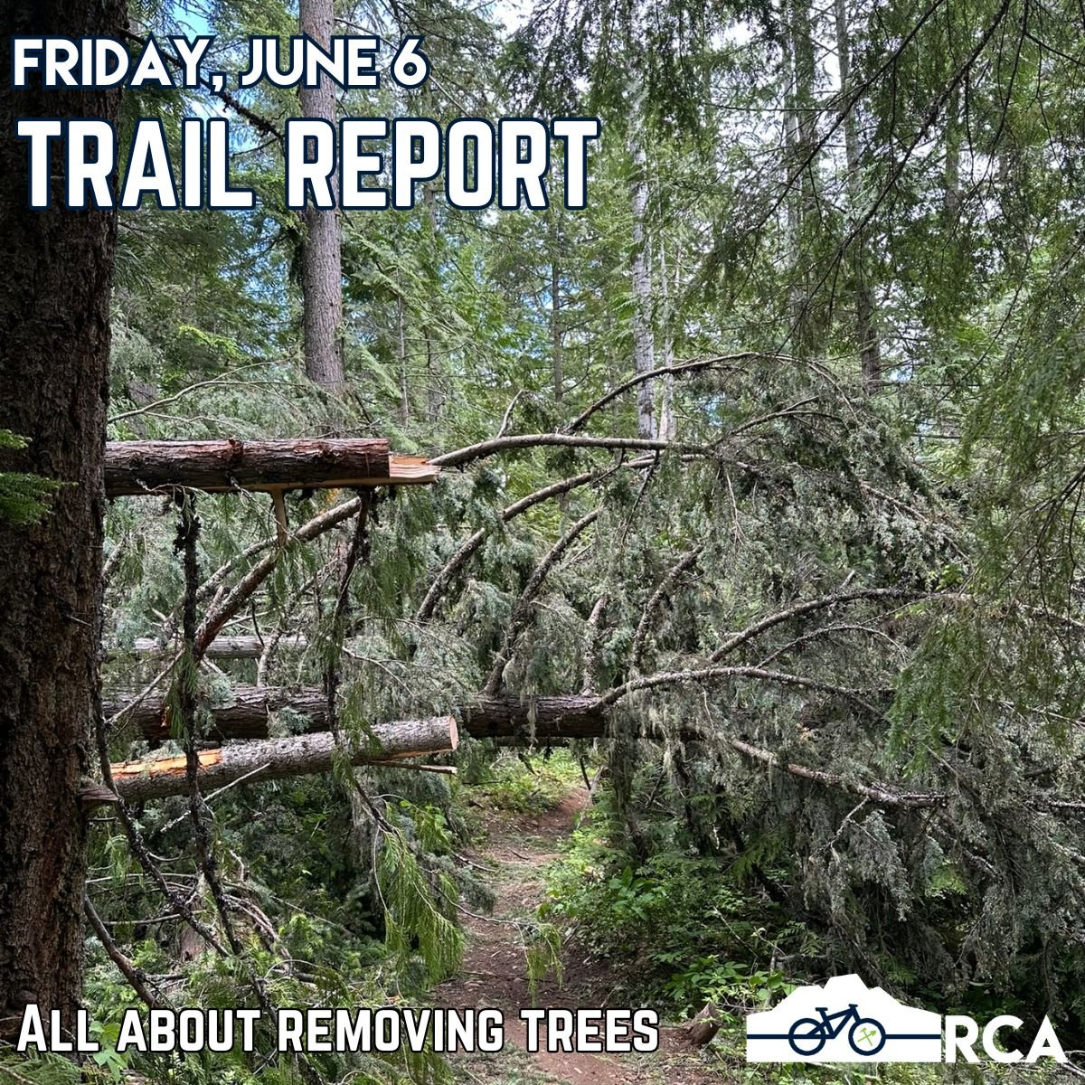 Here's our trail report for Friday, June 6:

This week was all about the chaos after the storm. A brief but intense storm ripped through Revelstoke last Saturday, knocking down trees all around our network. Macpherson was the worst hit, but there wer