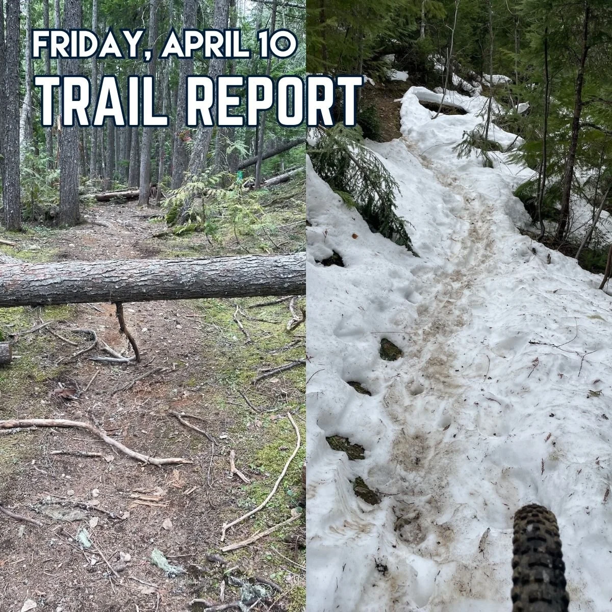 🚵
It's time for another trail report. We're keeping these bi-weekly until trail crew starts up on April 27.

Sunnyside is in great shape, with only a couple of wet spots left and the usual brake bumps. We are planning a Dig Day on Sunnyside on Satur