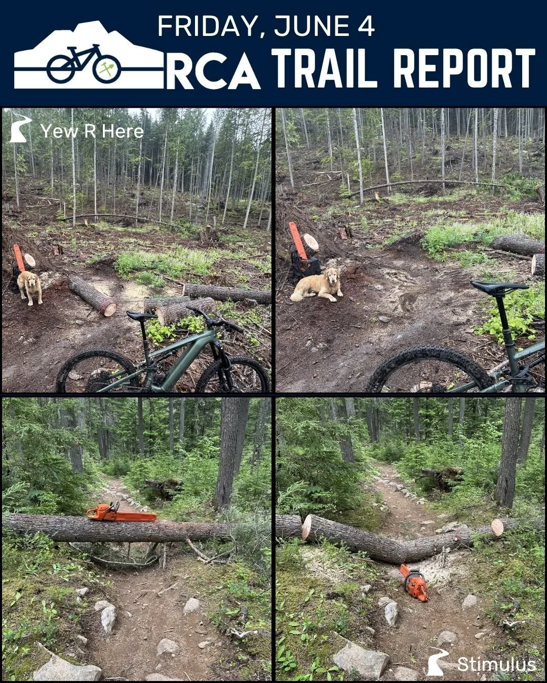 Here's our Trail Report for Friday, June 4:

🚵 This week wasn't as soggy as we thought it would be, but we still got some rain and temps remained cool, making for supremely tacky dirt conditions. There are muddy spots here and there, and even a few 