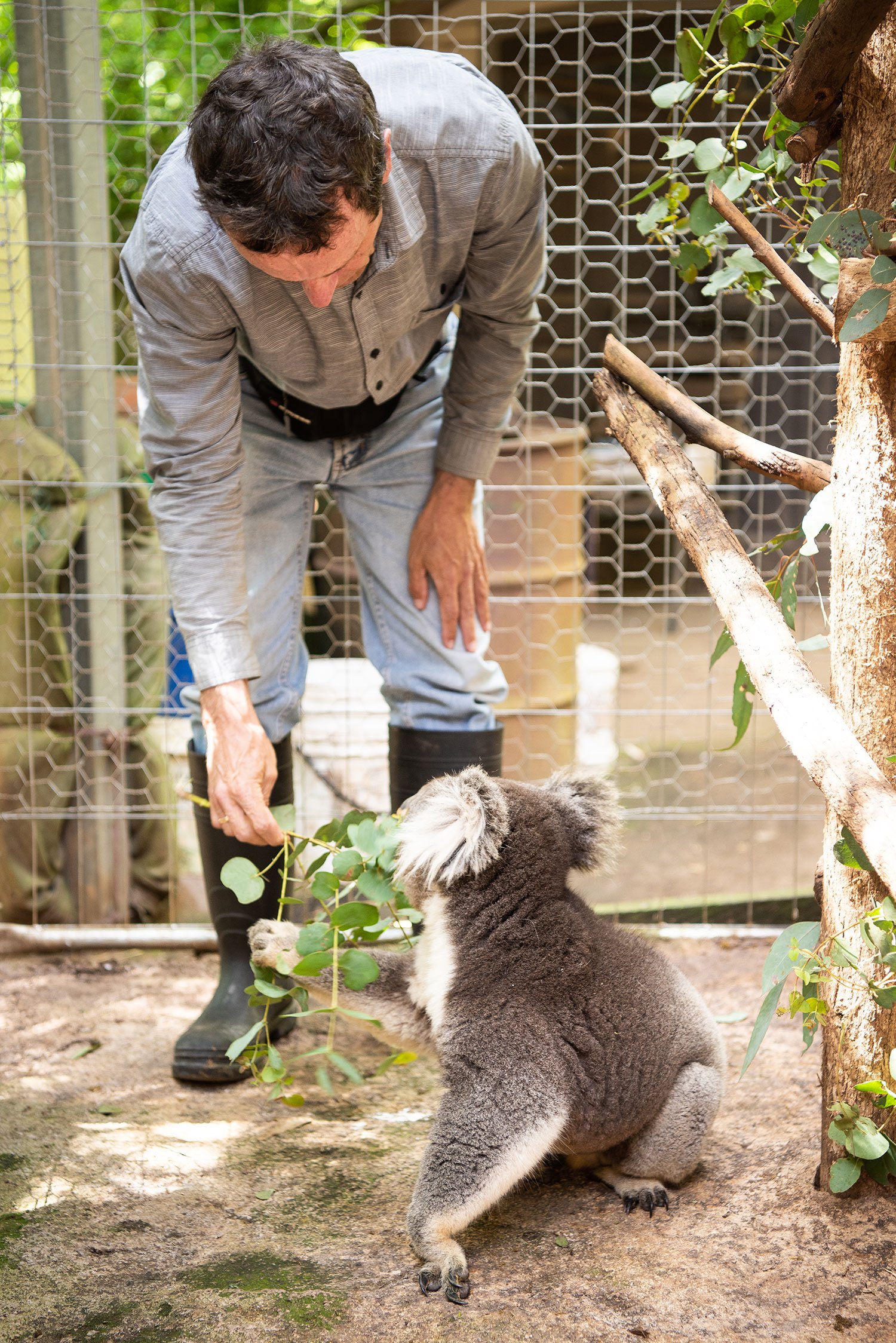 Kangaloola-DSC_7667.jpg