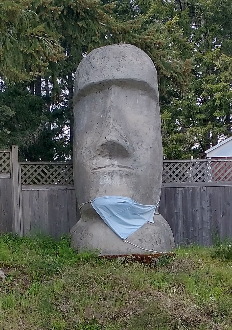  Some people have weird stuff on their yards. 