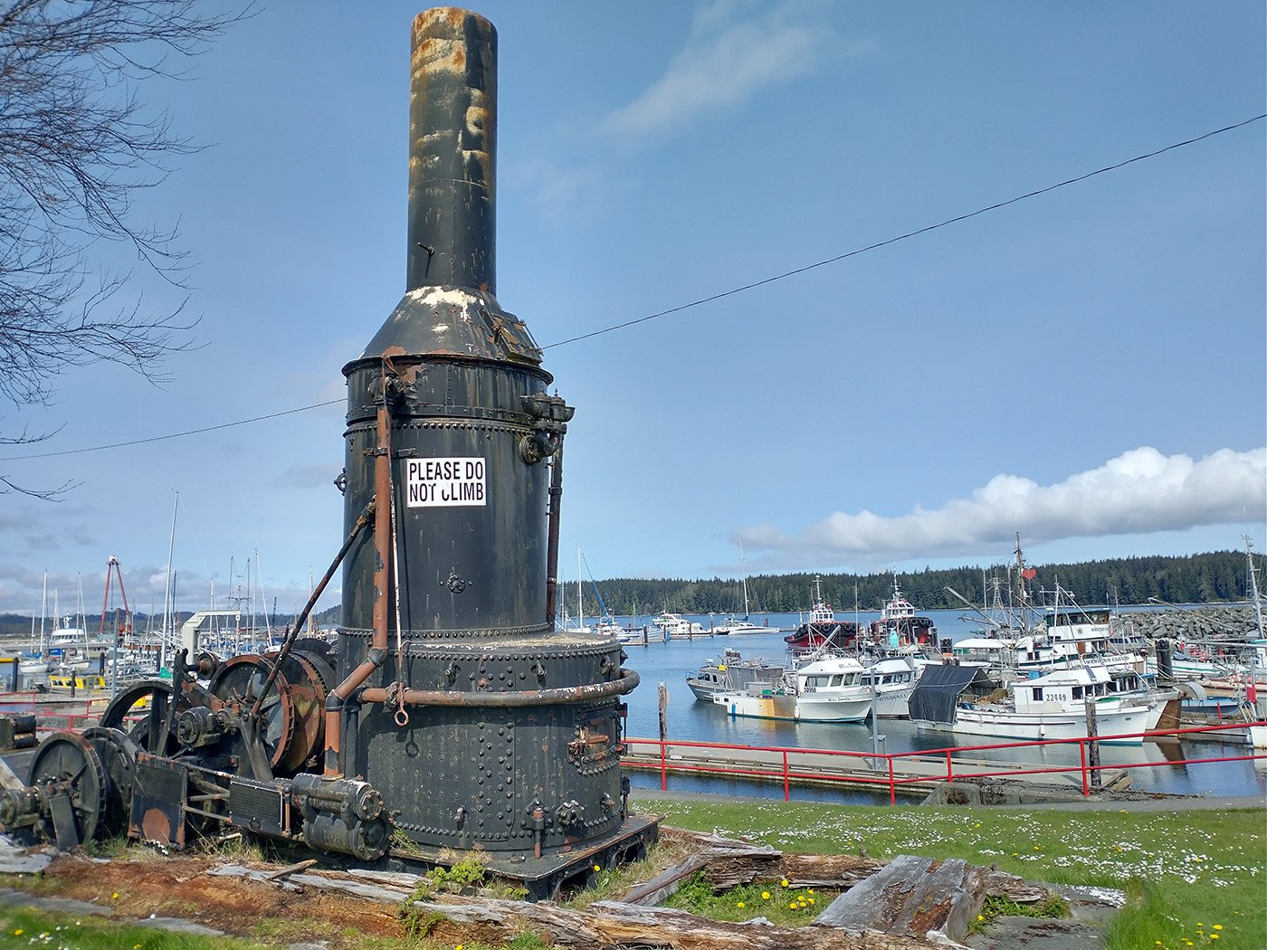  Another Island trend is to have 19th century relics lying around just about everywhere, talking about the old logging days. 