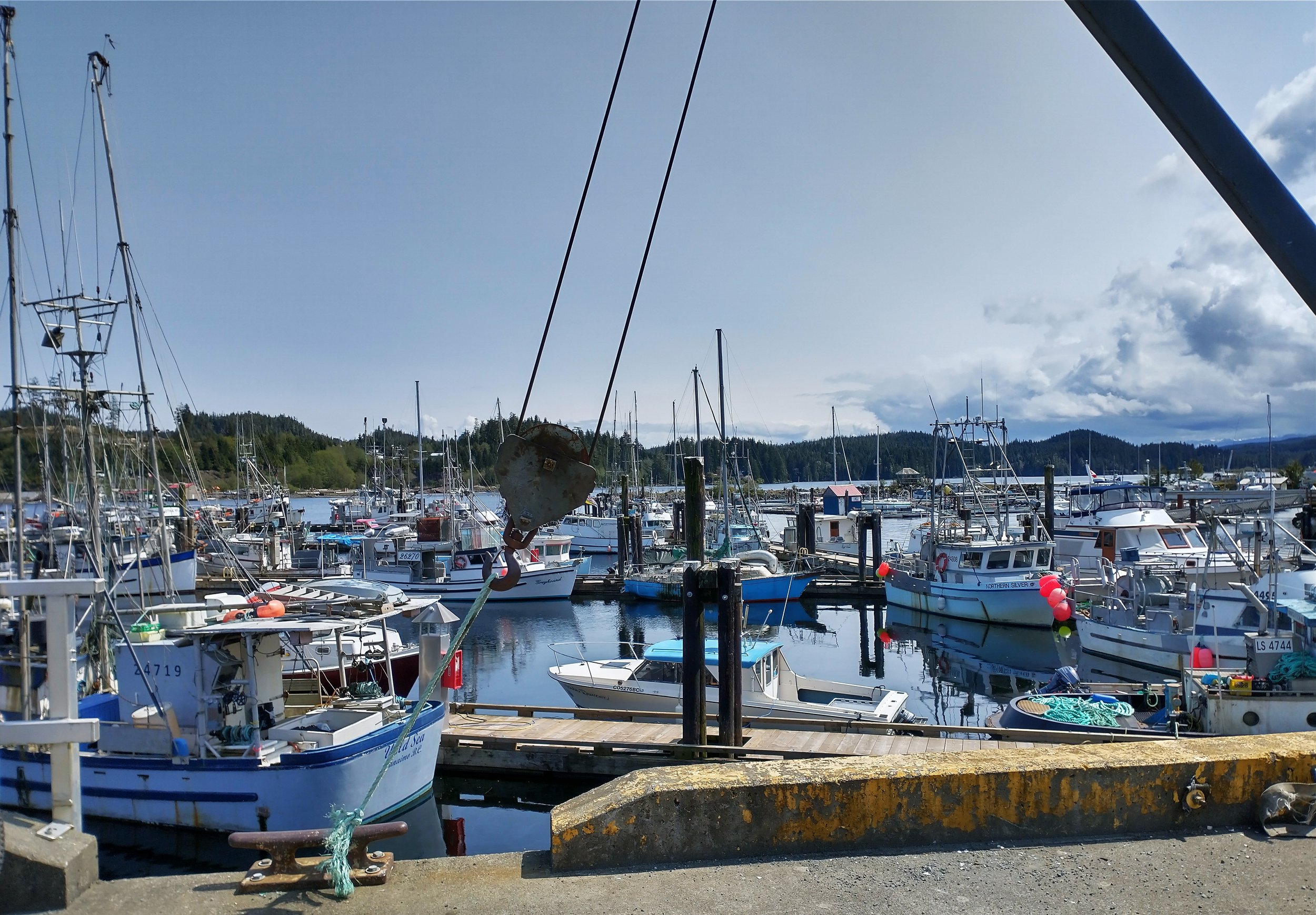  The harbor itself, seems to be much more for commercial fishing than you’d see on the rest of the Island.  