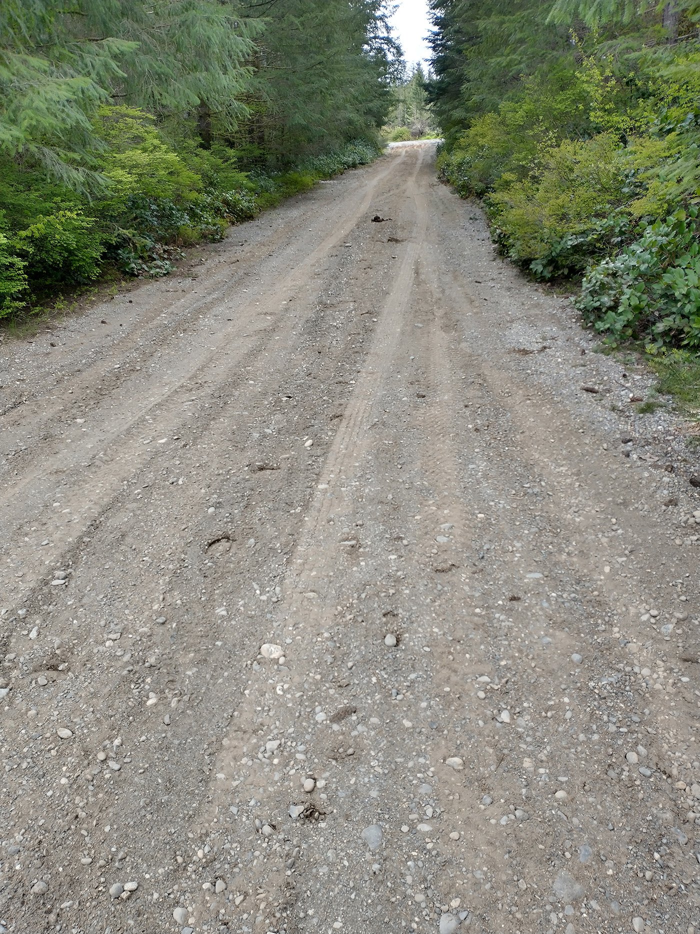  Sometimes you plan loops on Strava and they call things like this “paved”. Then you need to decide if you want to ride 5km on literal dirt trails or just go back. 