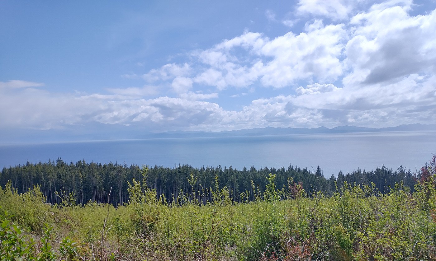  The road from Port Renfrew to the next town, Jordan River, follows the coast and periodically has amazing views of the ocean. There’s so many potential multi-million dollar mansions you could build here, for hundreds of kilometers.  