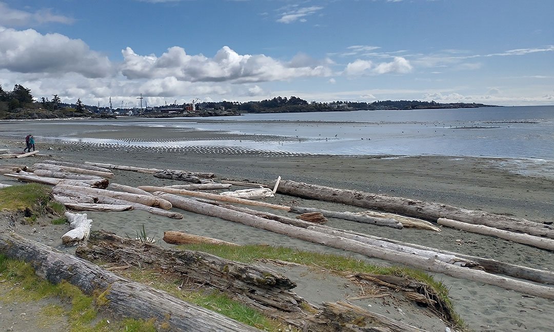  Esquimalt Lagoon is a popular tourist spot that’s decently close to downtown. In the summer it has many food trucks park along the beach. 