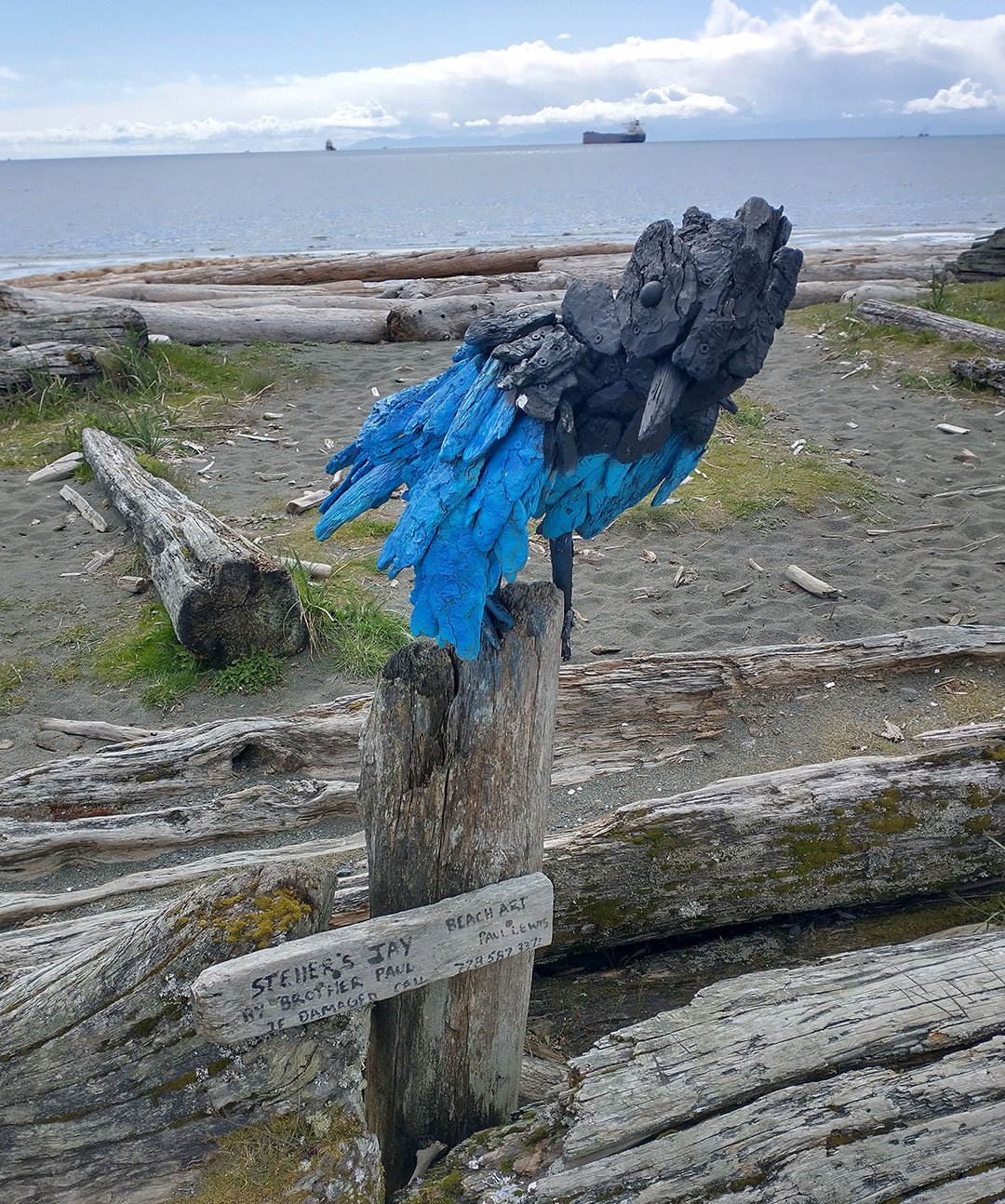  A dozen of these driftwood sculptures line the lagoon. Driftwood is not an endangered resouce on Vancouver Island. 