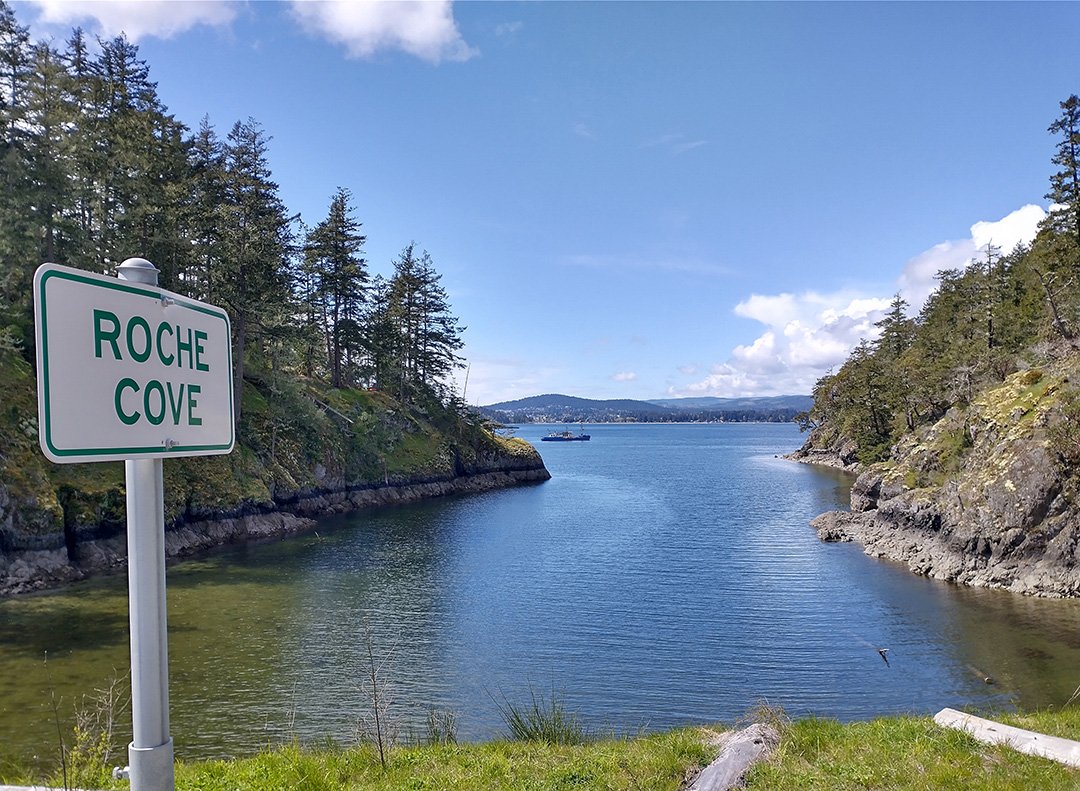  On the way back from East Sooke, as you turn northward you will come across Roche Cove which, on one side, has this view of Sooke Inlet. 