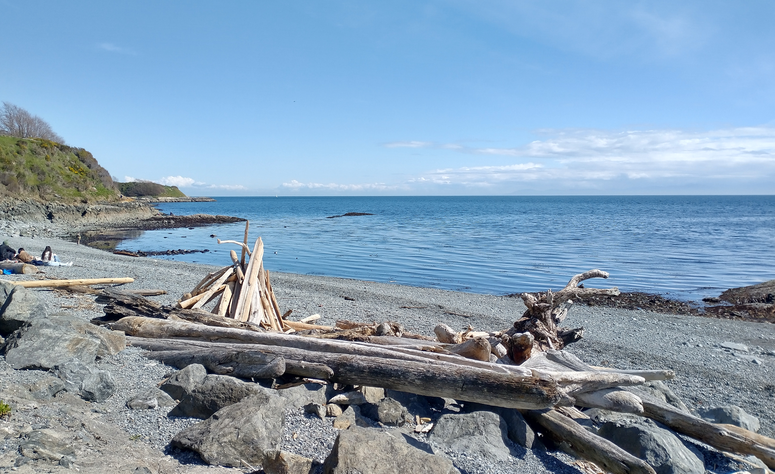  You’ll get acquainted with Vancouver Island’s typical beach: Frigid water, jagged sea debris and pebbles, no sand and tons of driftwood. The views are always amazing though. Dog walking seems to be the most popular activity to do on these beaches. 