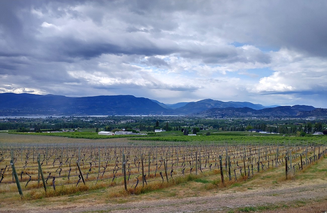 Views up the hill in Kelowna, overlooking vineyards.