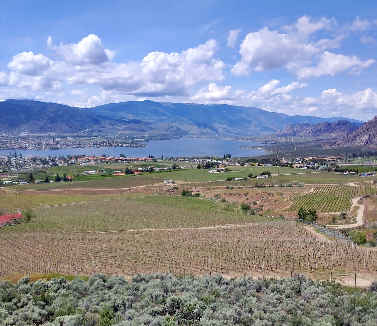 The beginning of the climb out of Osoyoos. 