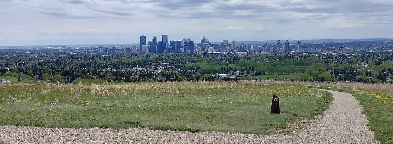 View from the top of Nose Hill park. Only dirt trails there, and swarming with dogs. Like the entire bike path network.