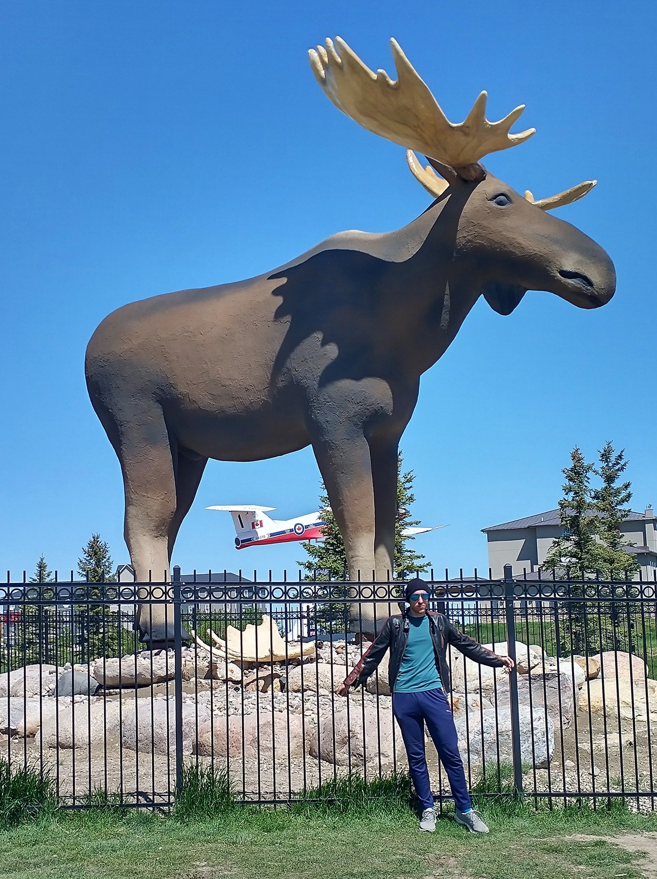 That's the Moose. What a moose it was.