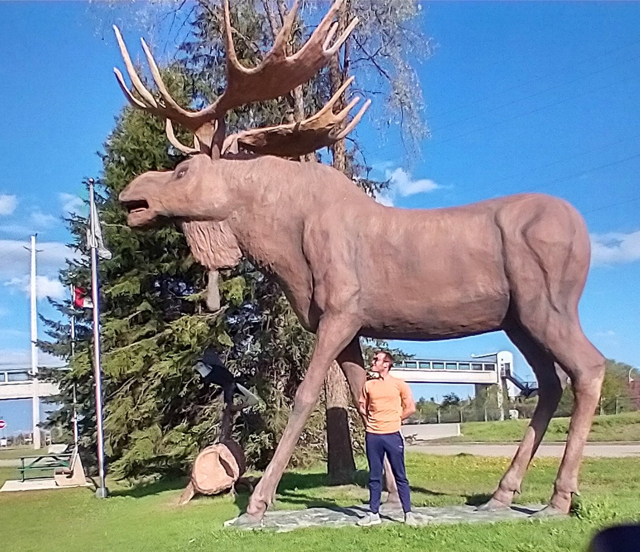I don't remember which city this was, but they also had a Moose. 