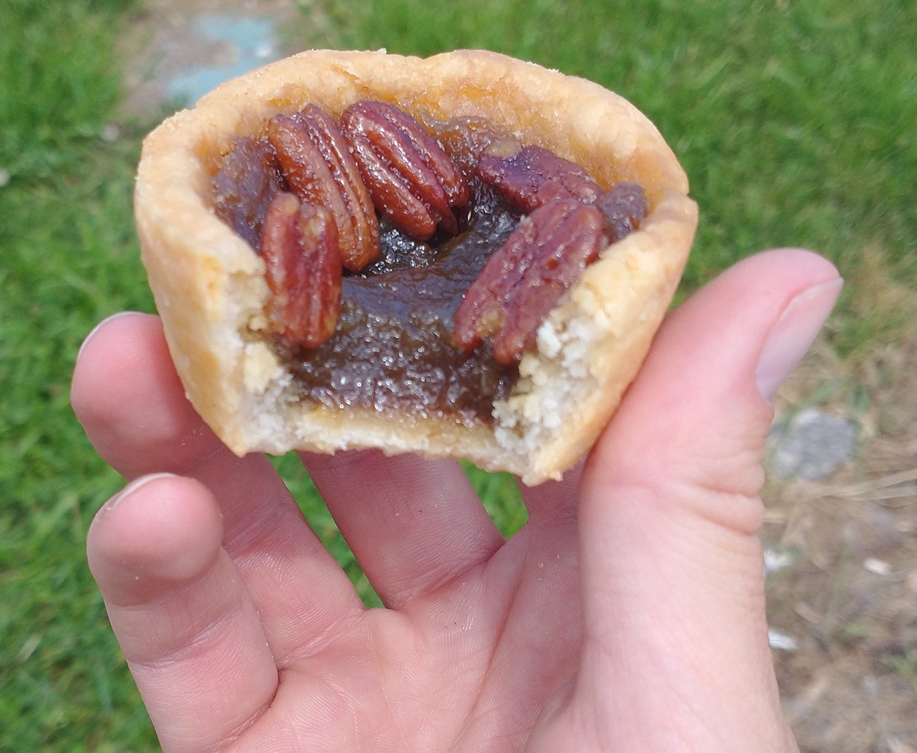 Apparently butter tarts are a Canadian thing. They are just mini pecan pies, usually without the pecans. 