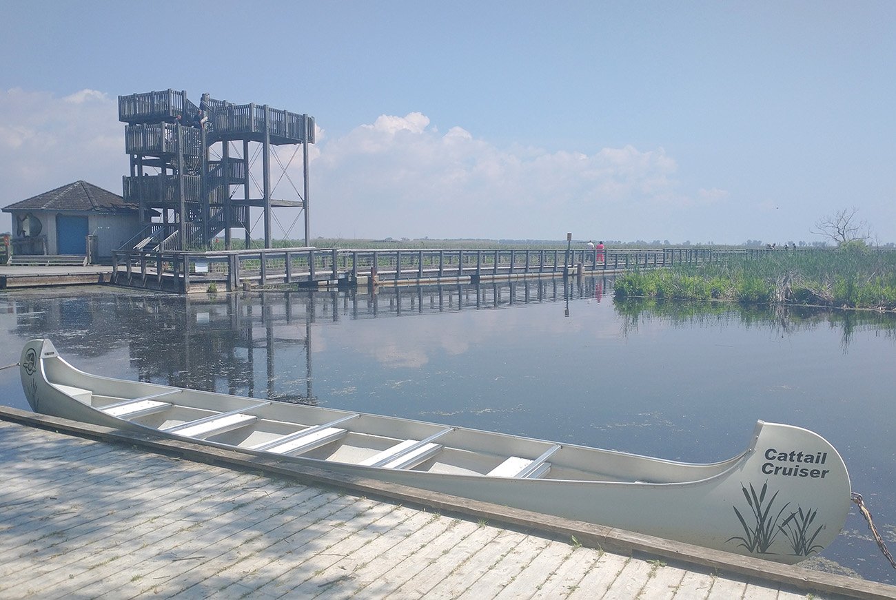 This is the Marsh Board Walk. You can rent canoes and paddle around or just walk along a boardwalk loop on the marsh.