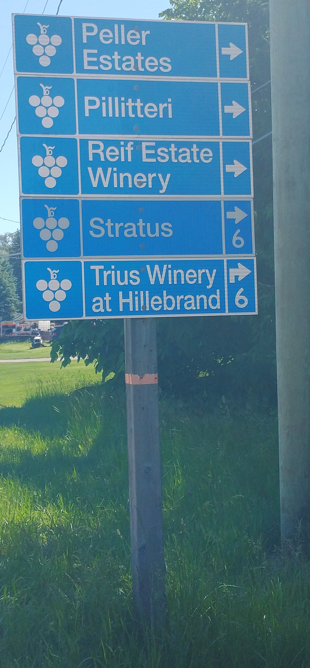 As you turn towards the east you enter Niagara wine country.