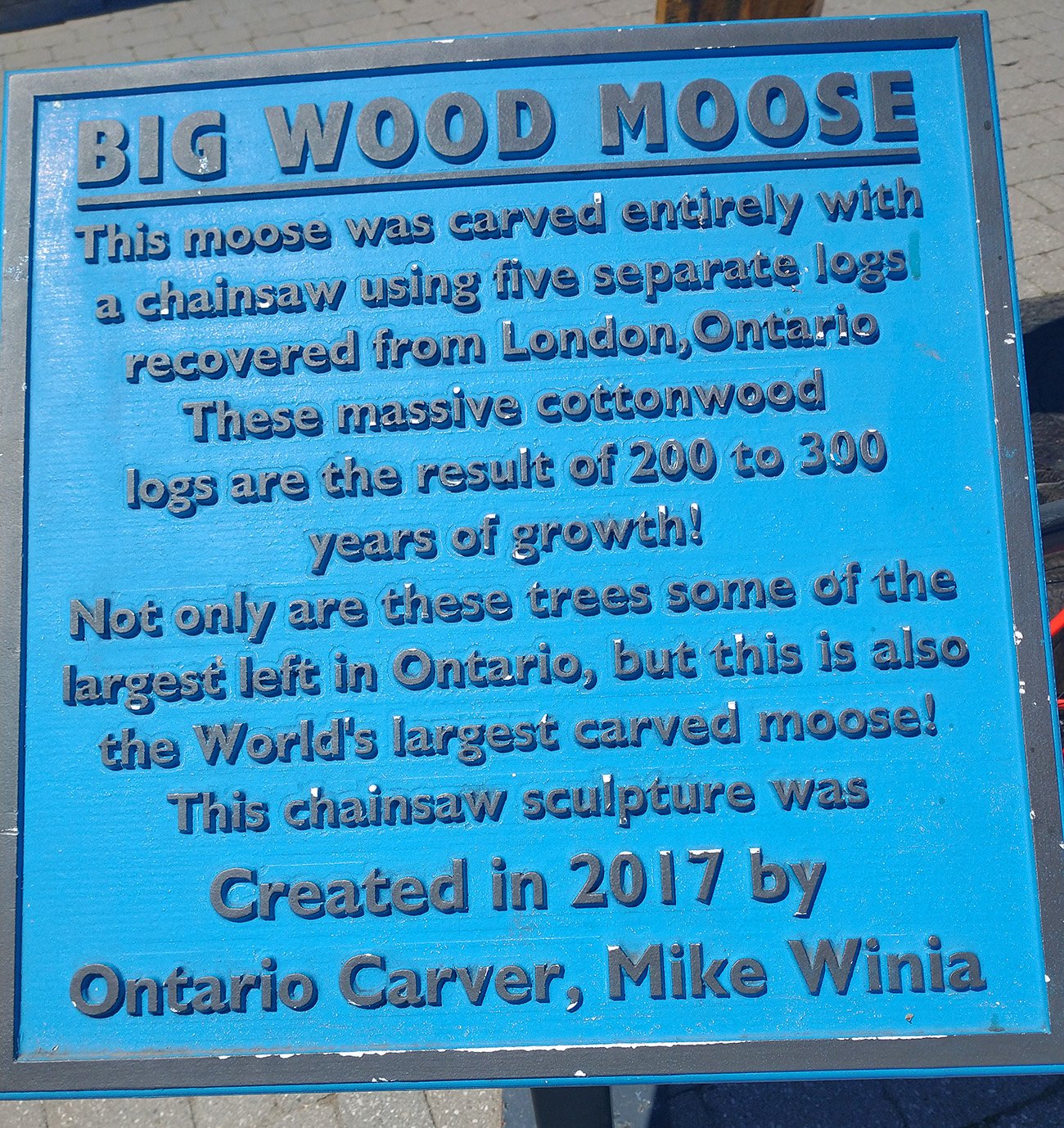 Proof of moose legitimacy.