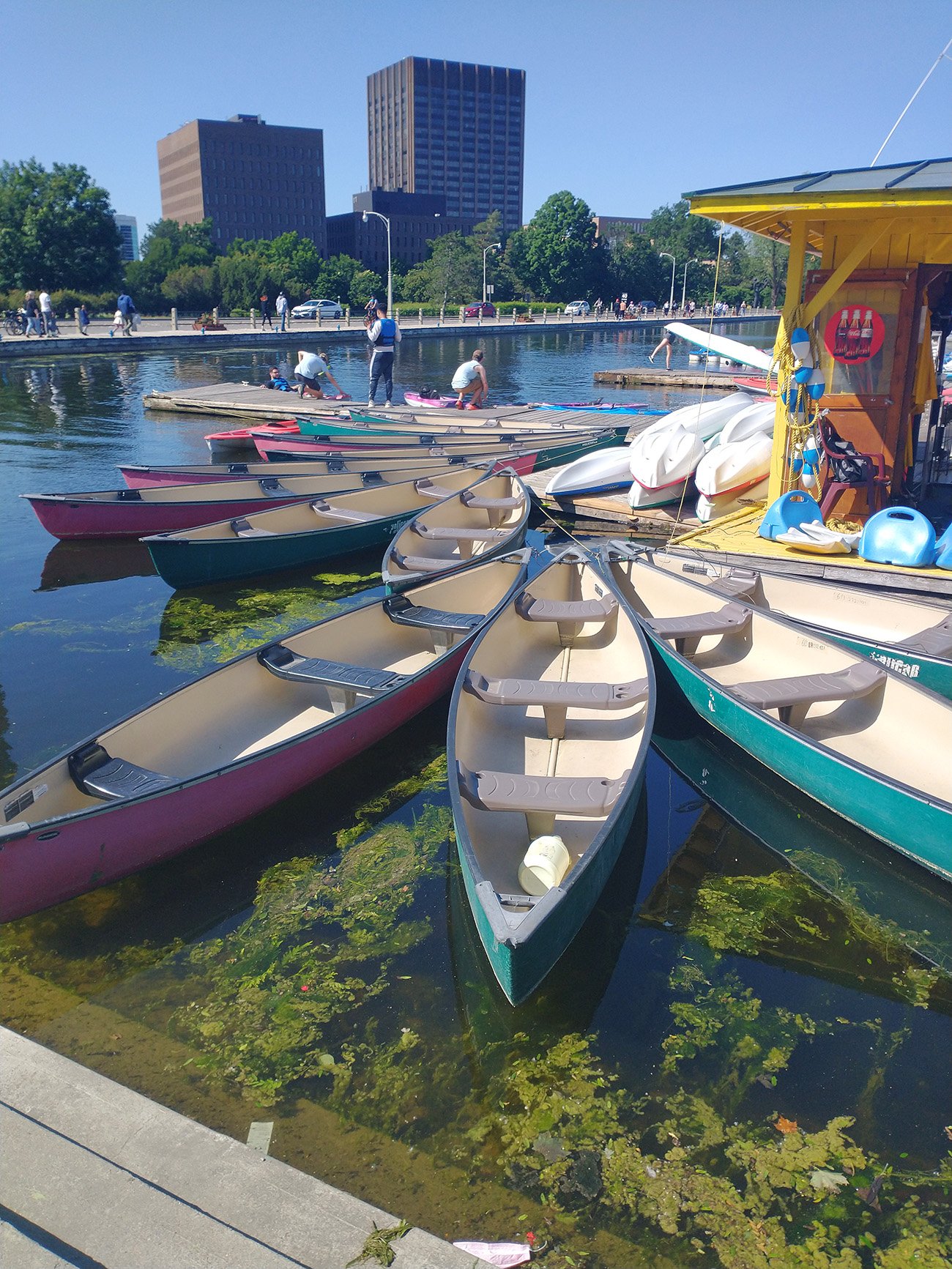 Canoe/Kayak rental very popular in the Gatineau/Ottawa area. Saw tons of people paddling around the canal.