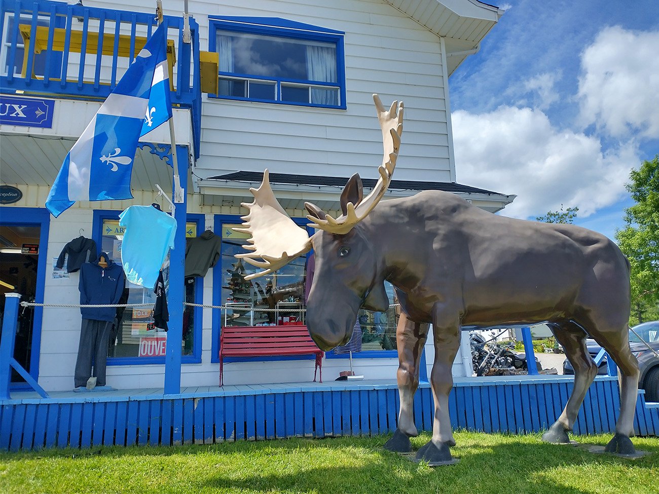 Tourist shop. You need to be at least a level 2 shop to get a moose.