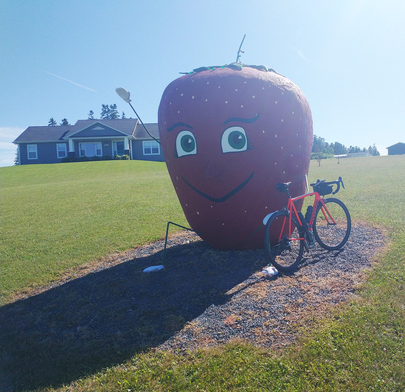 So apparently there's a "largest Strawberry" in North Carolina. But this one I randomly stumbled on is so much better.