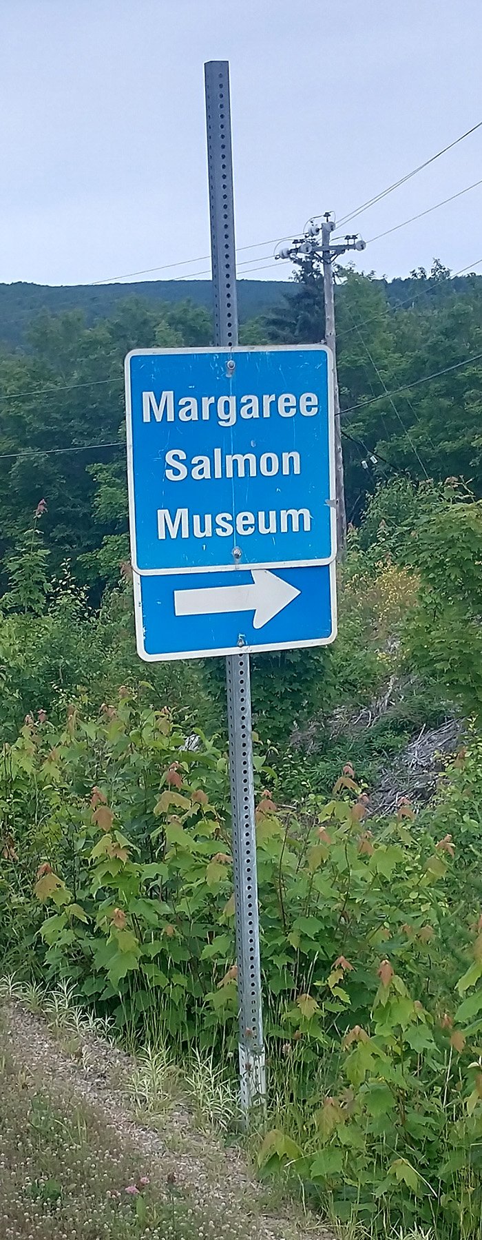 One of my biggest regrets. What wonders did the salmon museum hold? We'll never know.