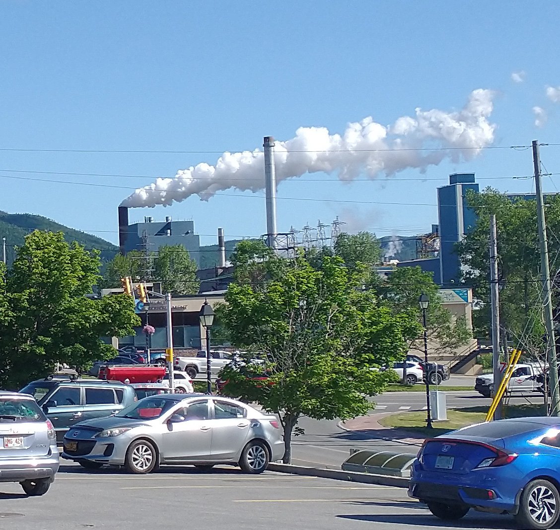 Spent the night in Corner Brook. It's a town built on cliffs around a harbor with this factory spewing this huge thick smoke... Looks healthy. 