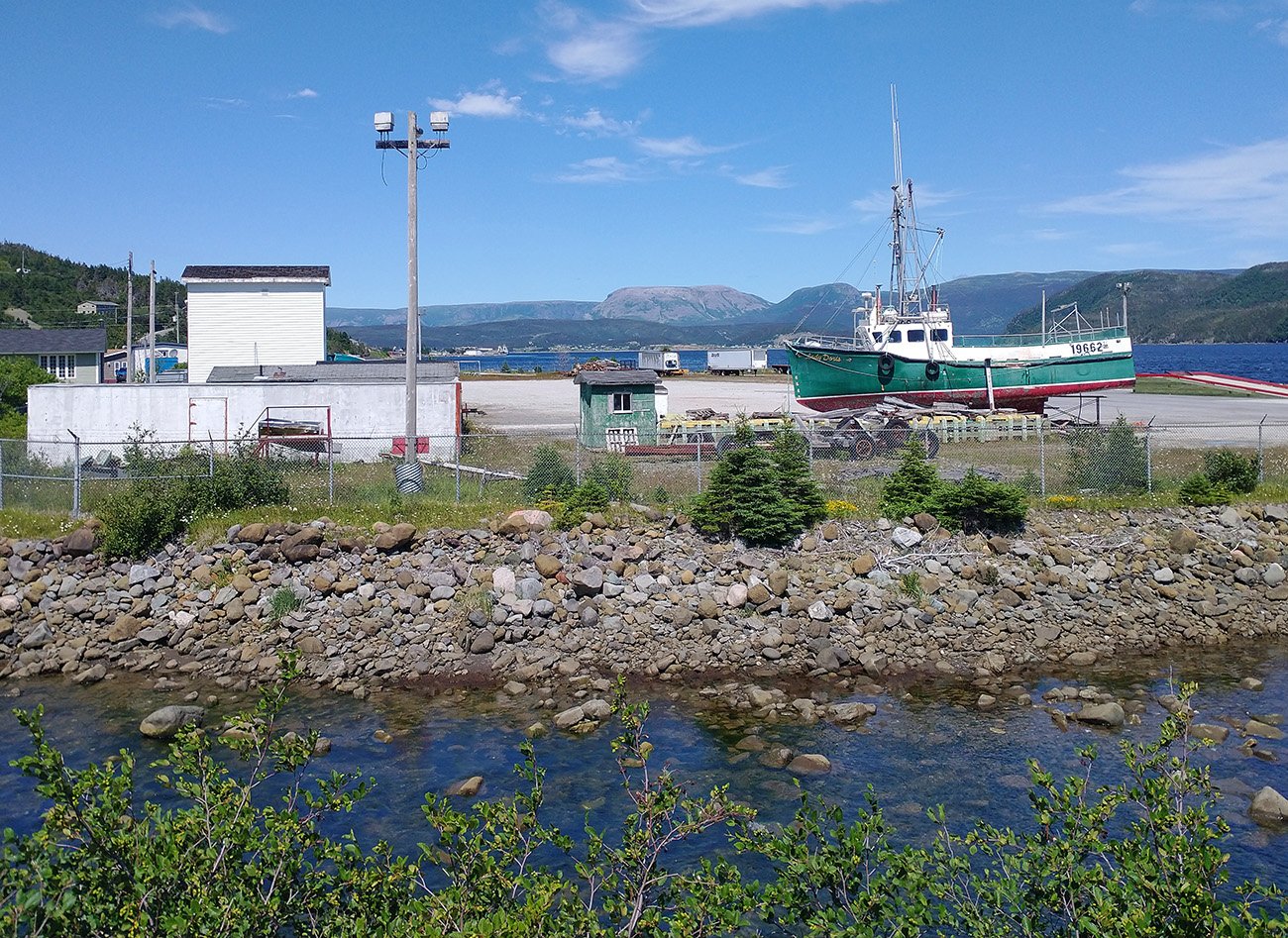 The ride passes through the small scenic town of Woody Point