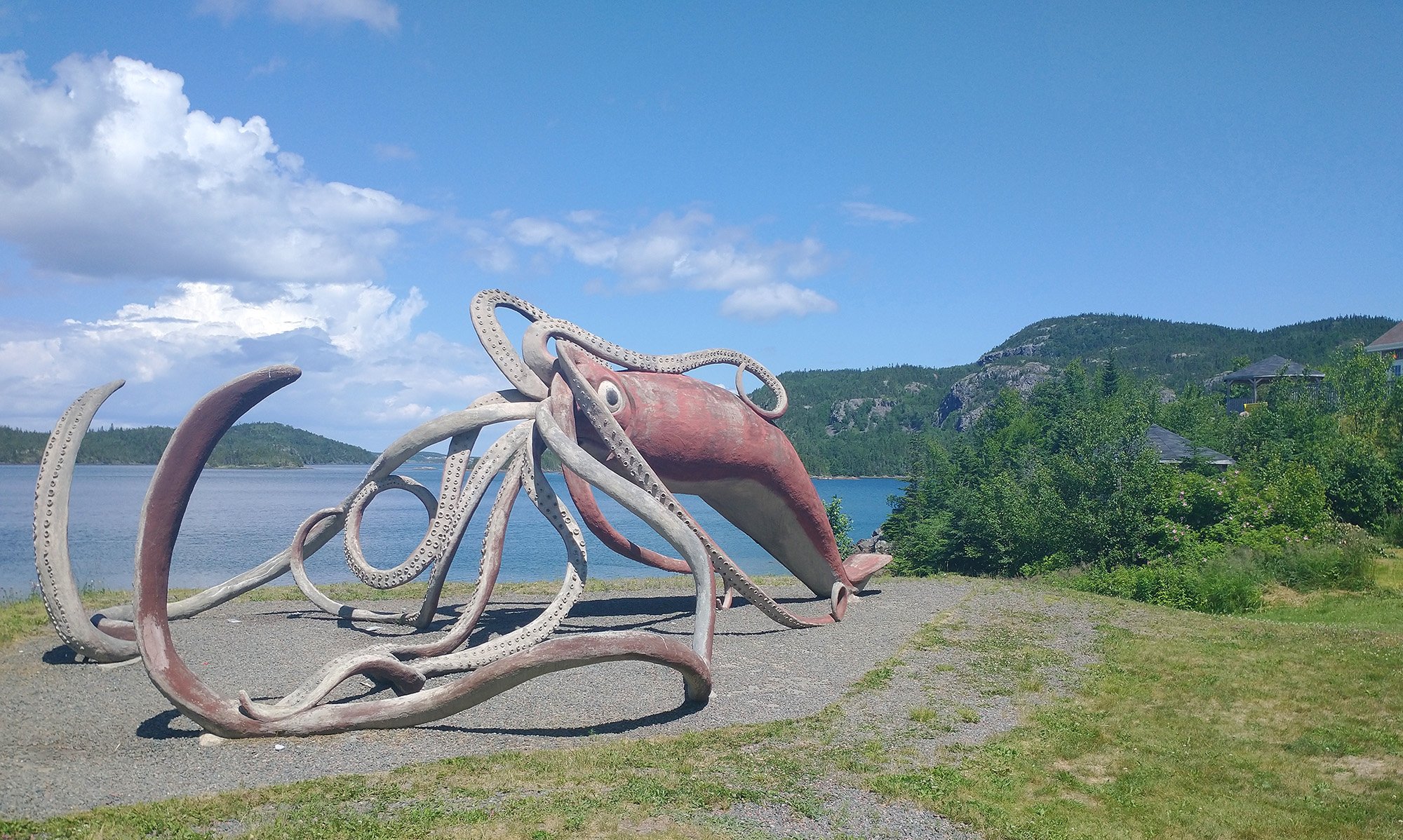 So they built a life-sized replica of their best guess as the the squid's actual size. The fishermen turned it into dog food before it could be properly studied...