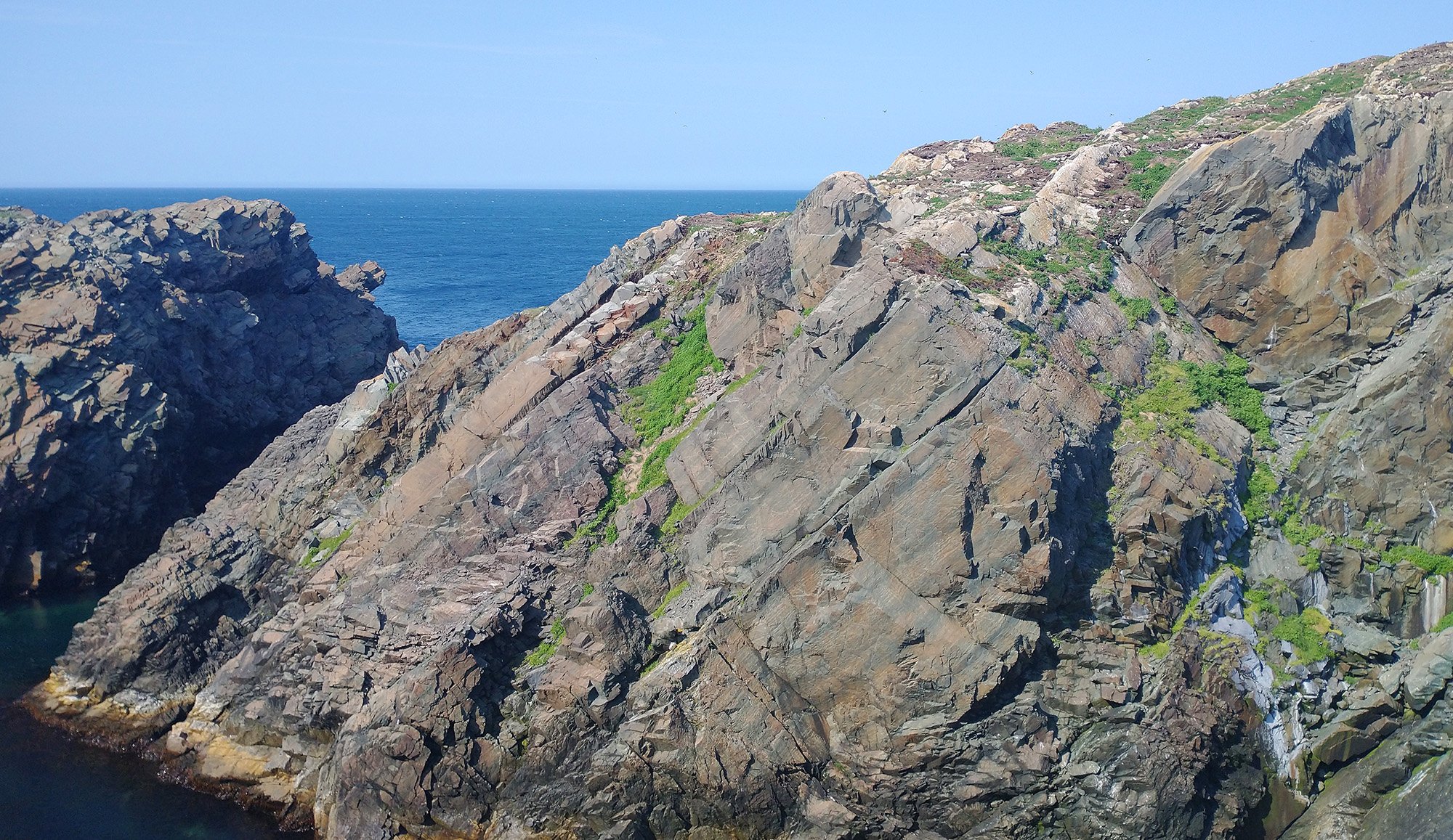 Behind the lighthouse there's this huge rock that hosts a puffin colony!