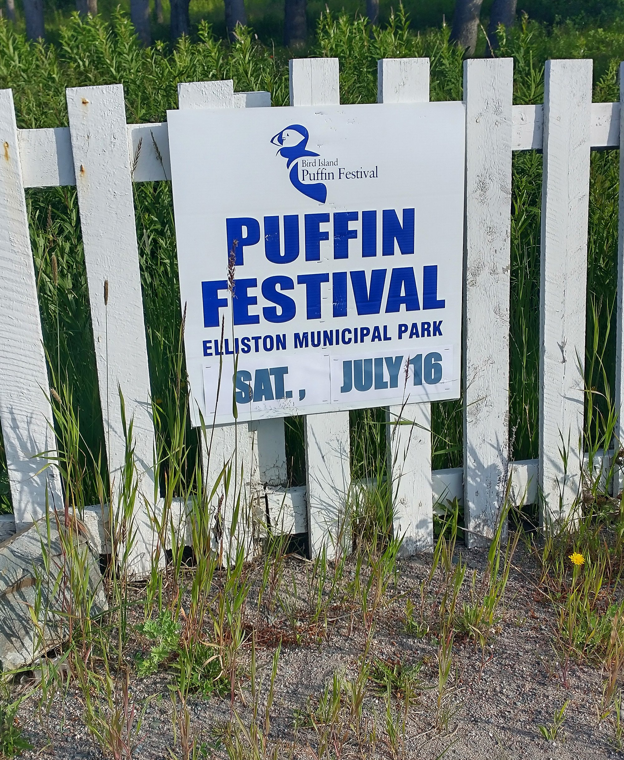 More interestingly the town has a puffin viewing area and thus its tourism centers around them.