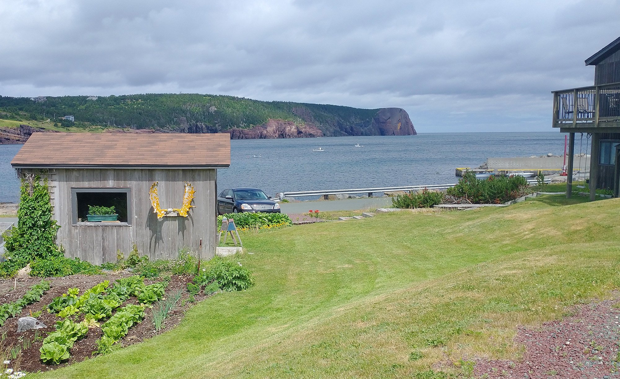 Shacks n' coves. Welcome to Newfoundland.