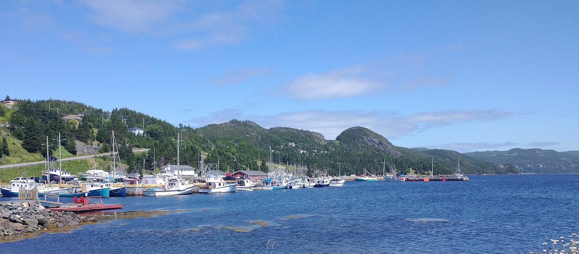 Town of Placentia, where I parked to start the ride. Gorgeous as always. People here must be real sick of these views, just wanting to see a field with brown grass...