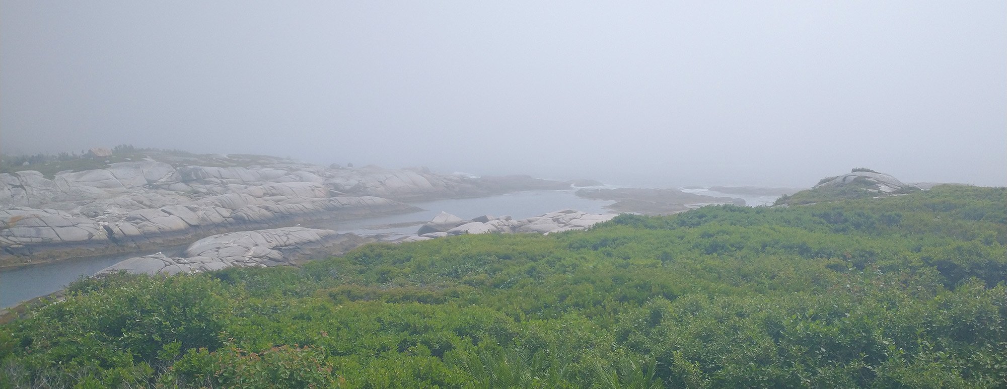 The entire Peggy's Cove area and town was shrouded in this thick fog. Gave me a nice break from the heat.