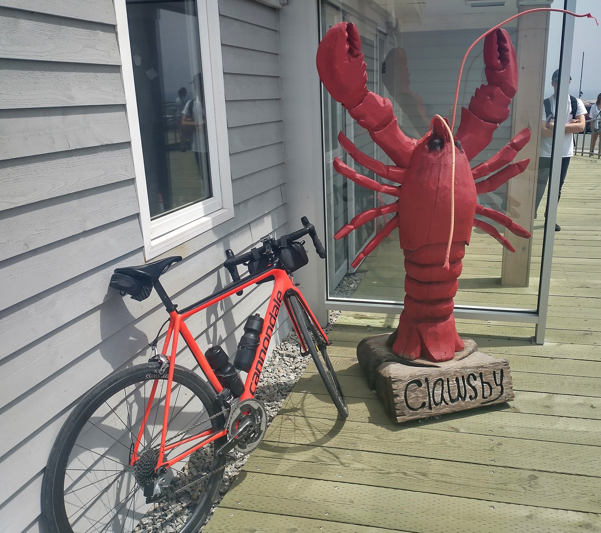 Found another big lobster. 