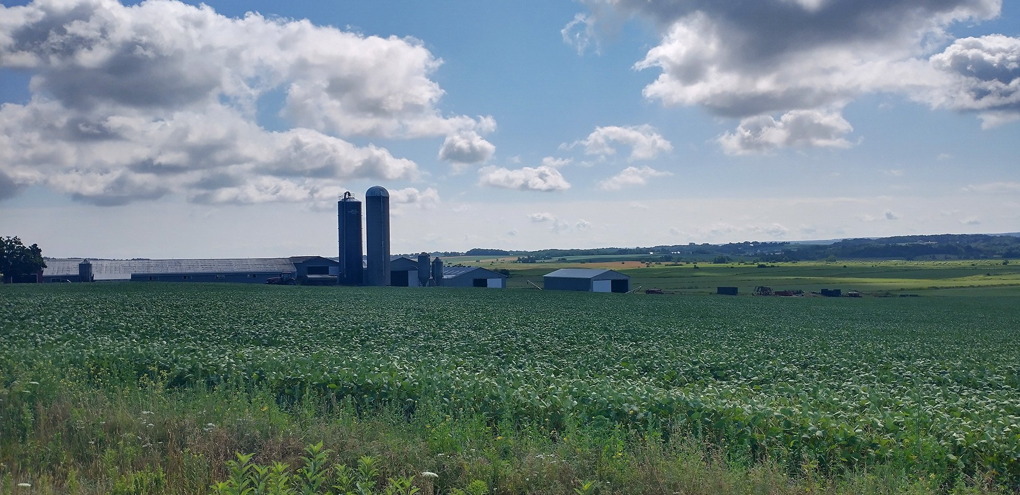 The inland of Nova Scotia has tons of scenic farmlands.