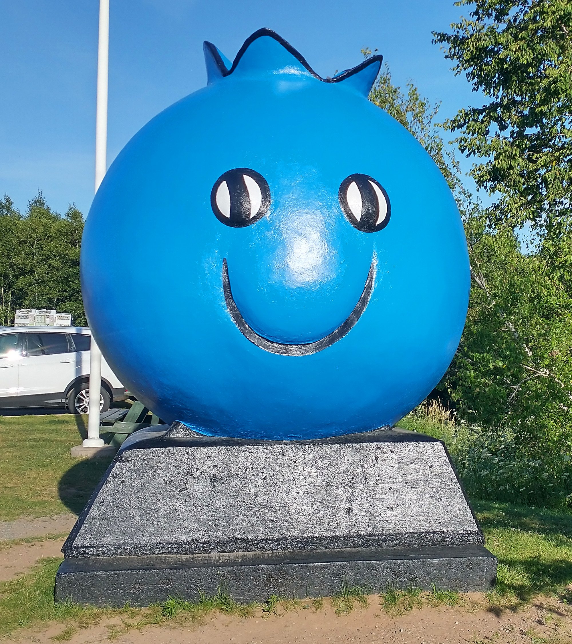 On this same Halifax-Moncton road, you will pass by Oxford, the self-proclaimed "Blueberry Capital of Canada".