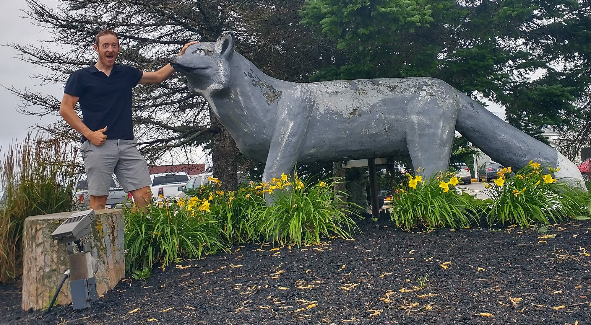 20 minutes outside Moncton you will find the world's largest Silver Fox. Some say it just lost its paint. 