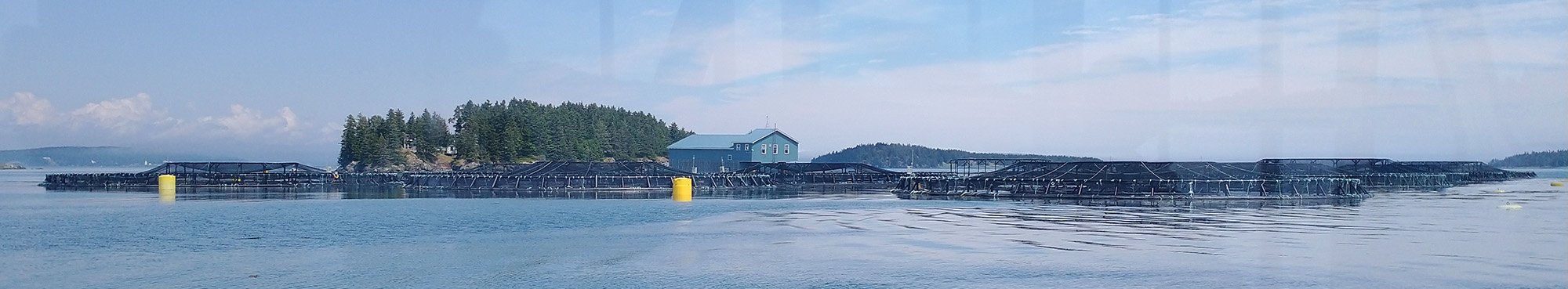 Salmon farms. Very efficient in terms of feed-to-meat, apparently. Likely not plentiful due to typical government red tape eco horseshit. 