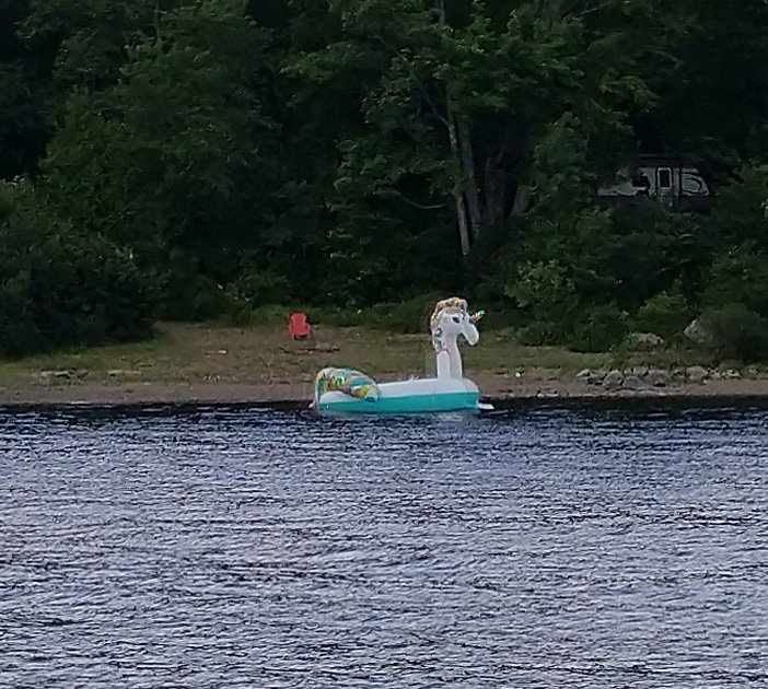 Been seeing a lot of these inflatable unicorn things. Guess it's the summer's trend?