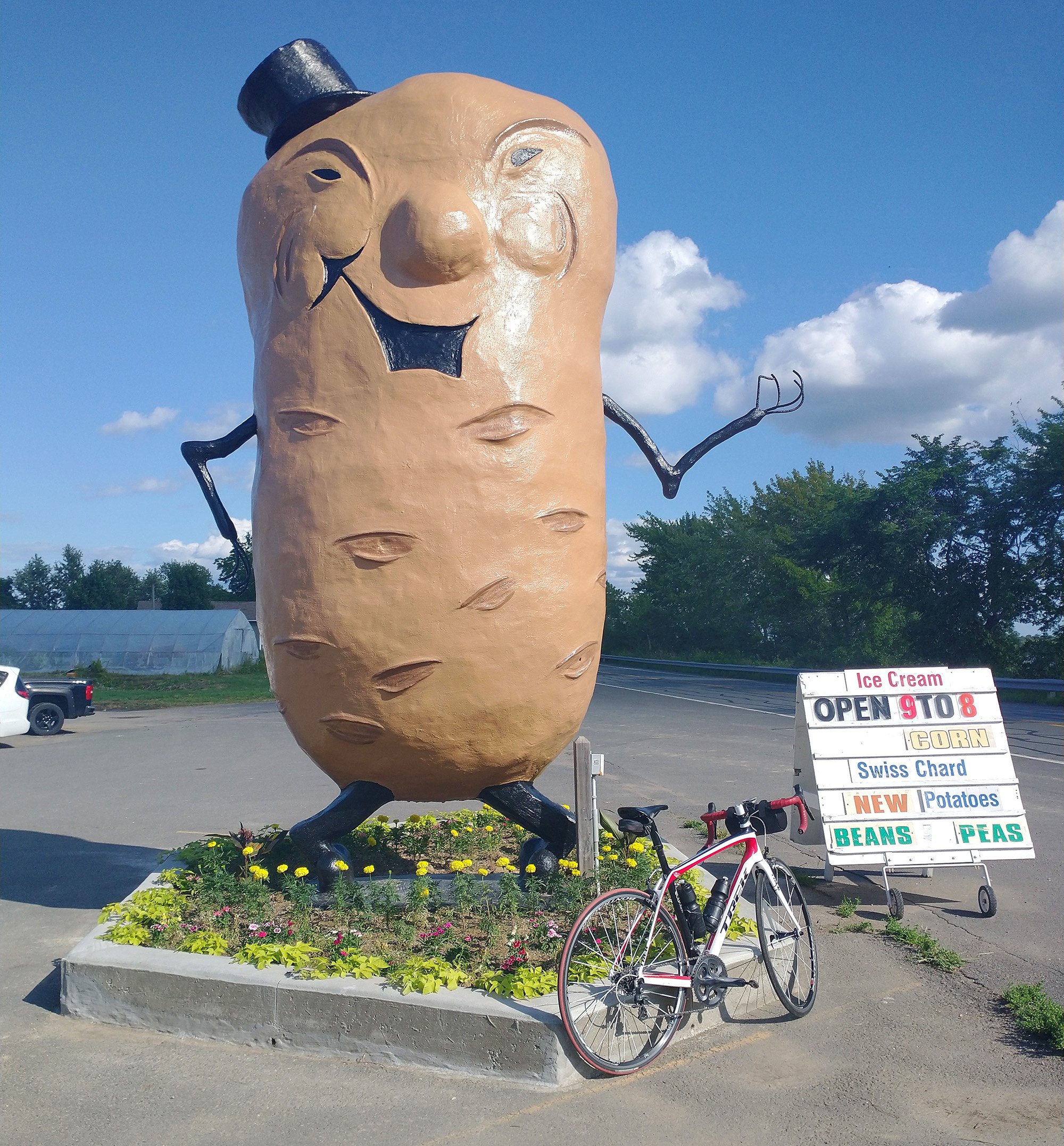 Somewhat more rural along the river, with a few farmer's markets, one boasting this badass potato man.
