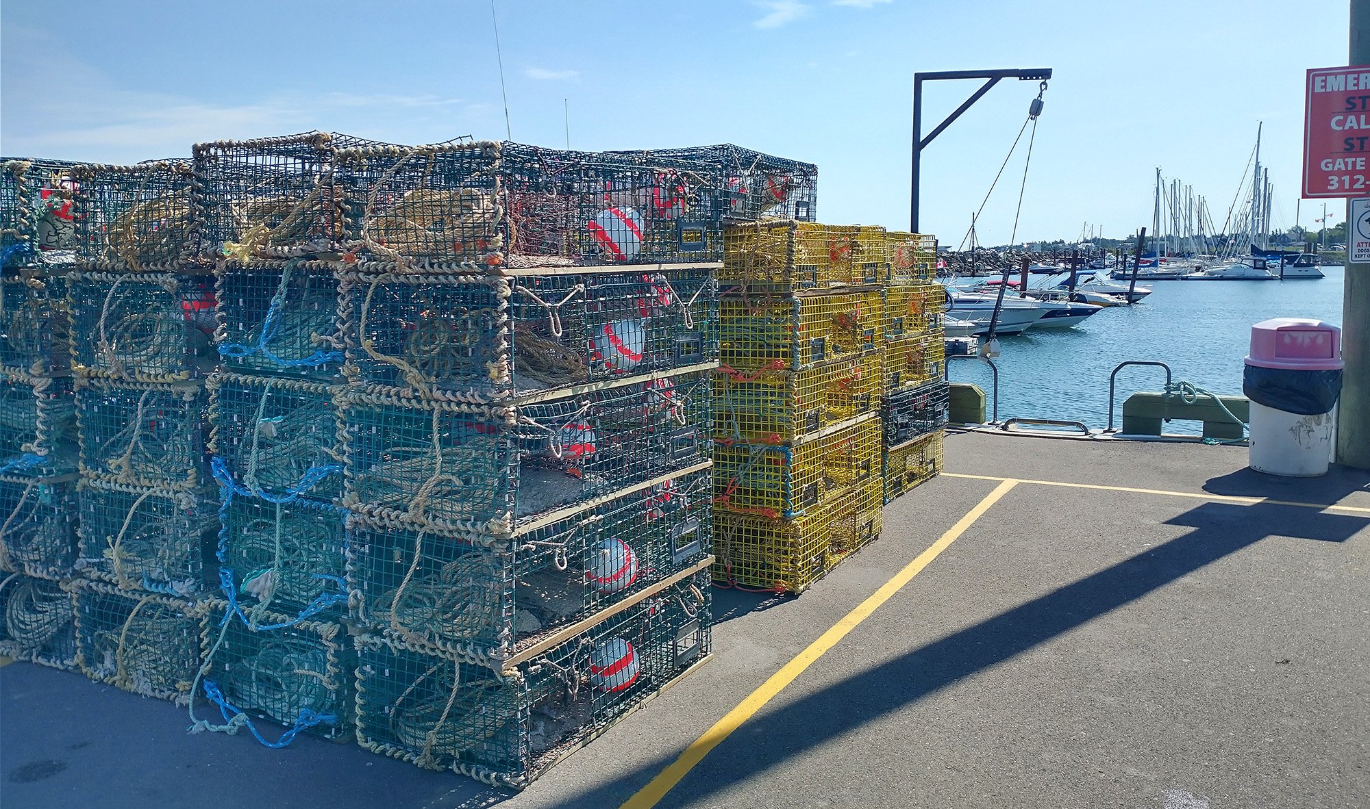 Bunch of lobster traps, sadly empty. 